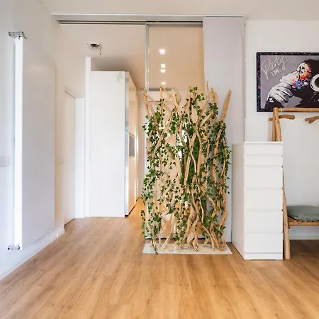 Terrace Apartament *